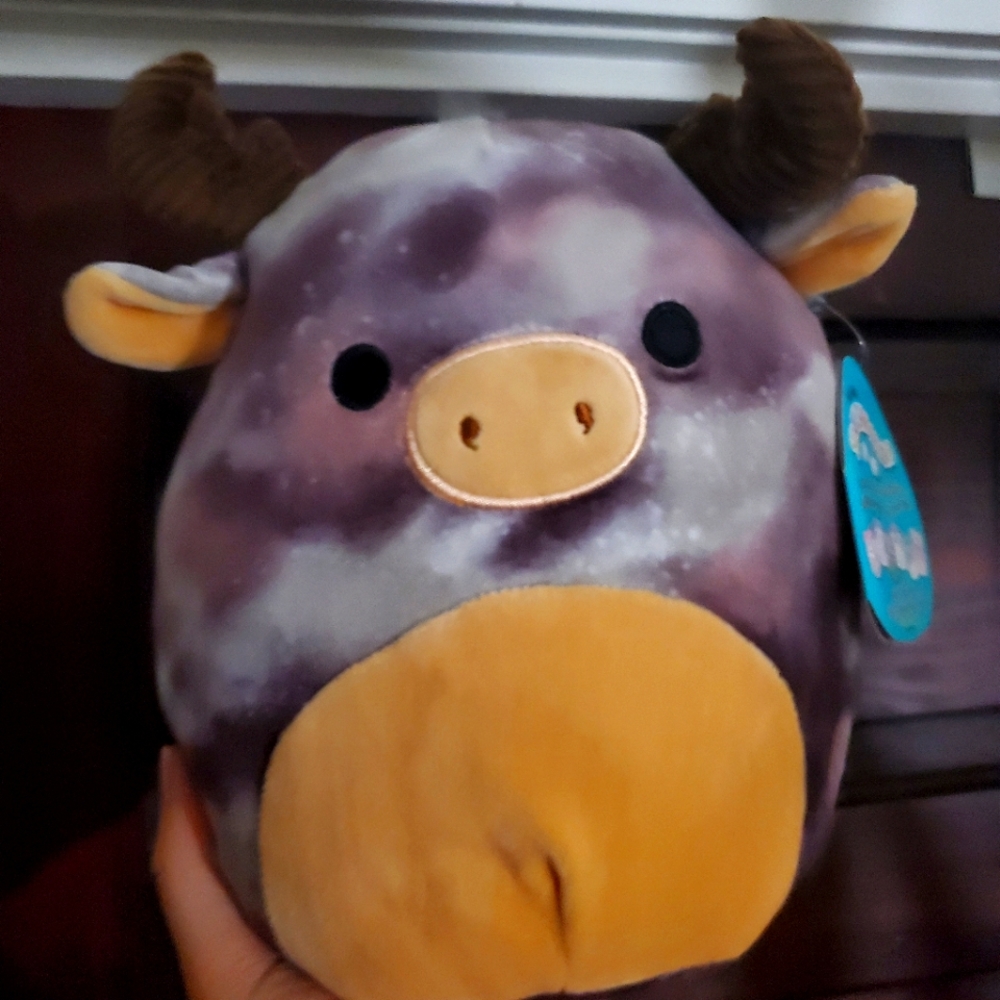 Squishmallow huge lot